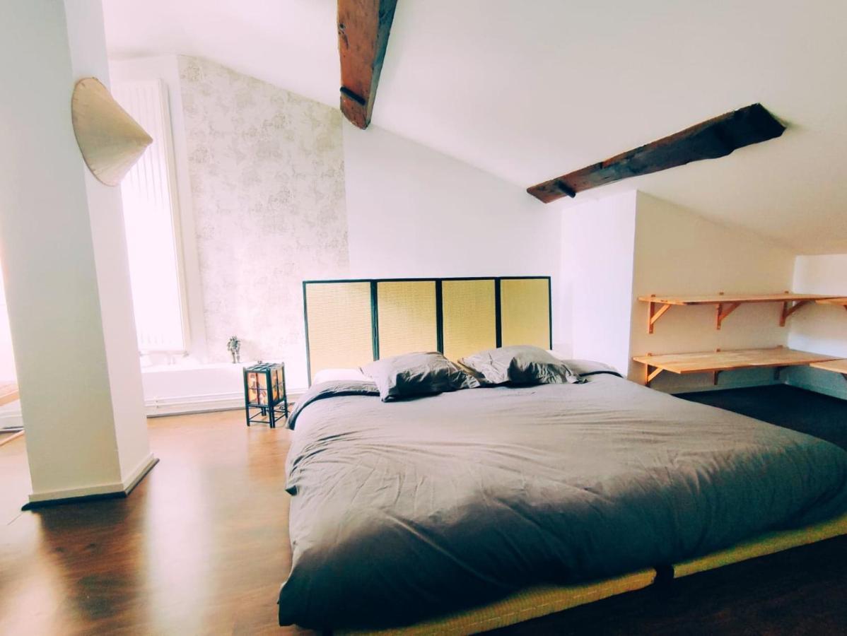 Superbe Appartement Duplex Centre Ville De Macon Exterior photo